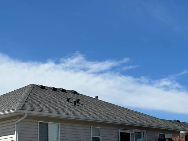 Best Skylight Installation and Repair  in Maineville, OH